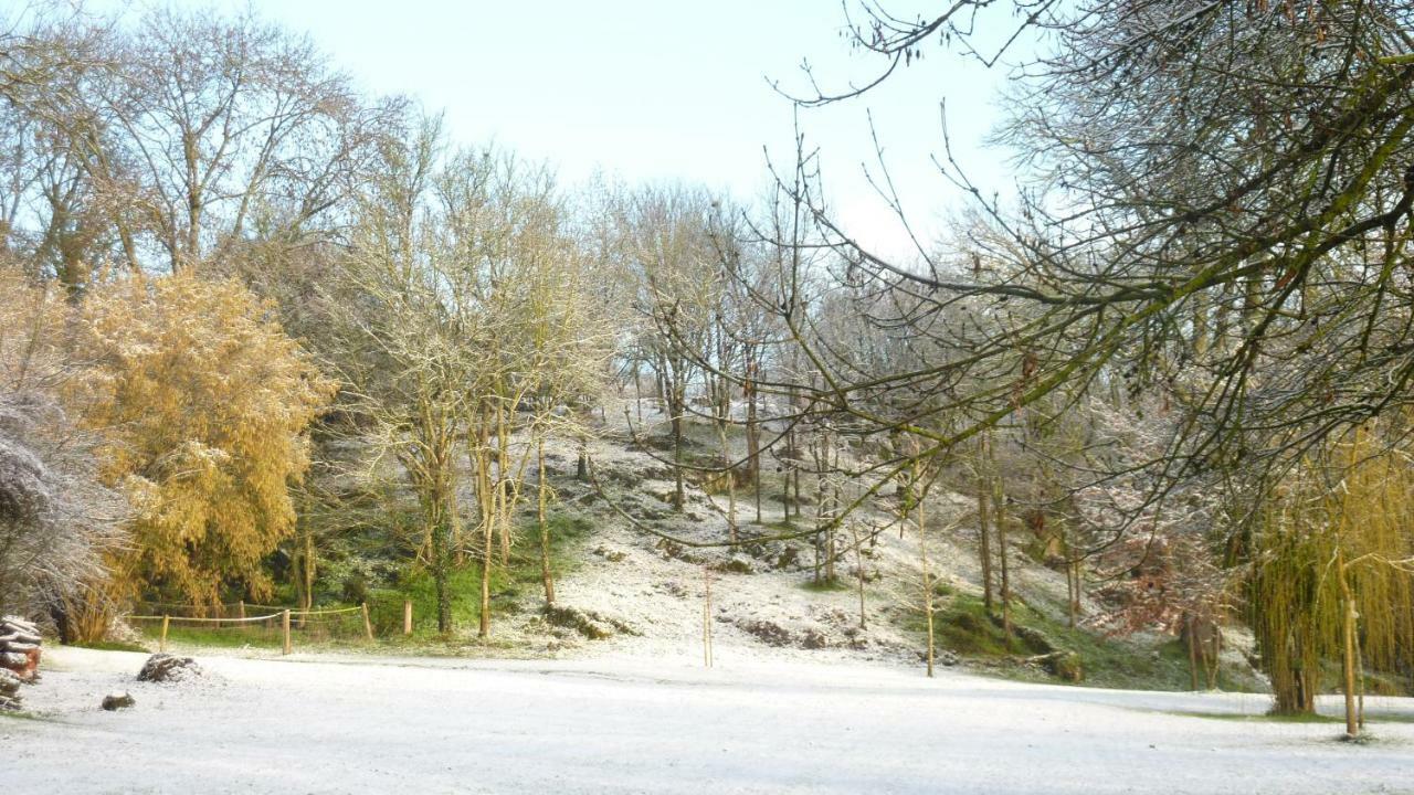 Moulin De Rimer Auvers-le-Hamon 外观 照片