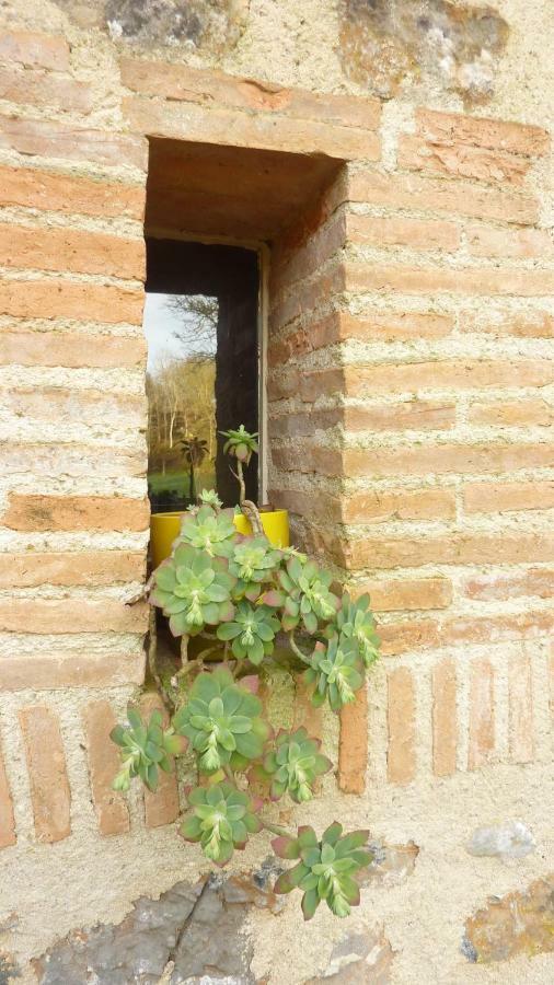 Moulin De Rimer Auvers-le-Hamon 外观 照片